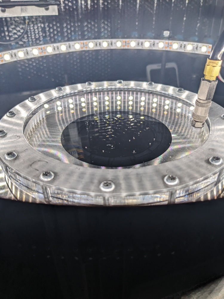 Droplets interacting in bath after release from magnetic gate system