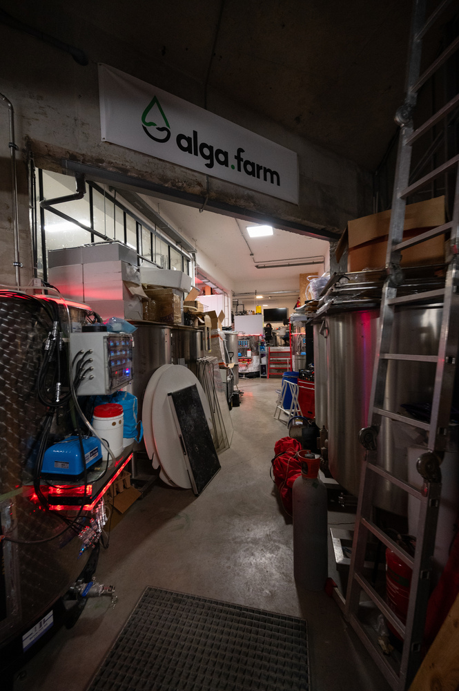 ROTTERDAM, Netherlands - Company building products out of algae at cleantech innovation hub in Rotterdam