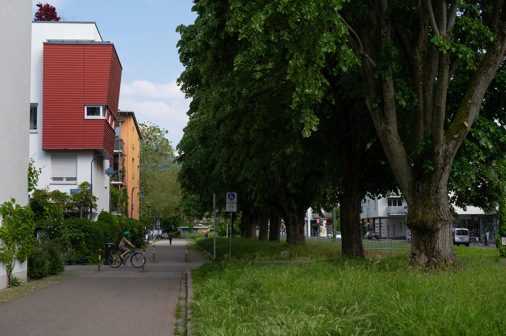 VAUBAN, Germany - Residents collaborated with architects to design custom net-zero housing projects